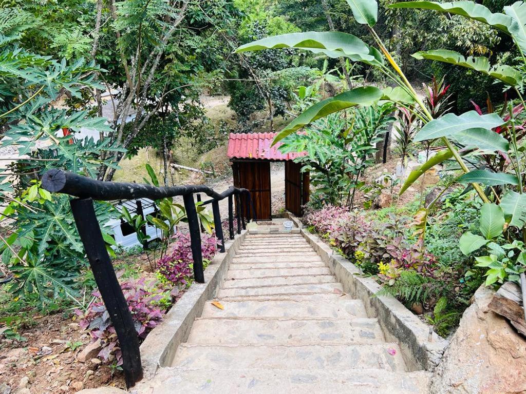Minca Cabana La Roca Santa Marta (Magdalena) Exterior foto