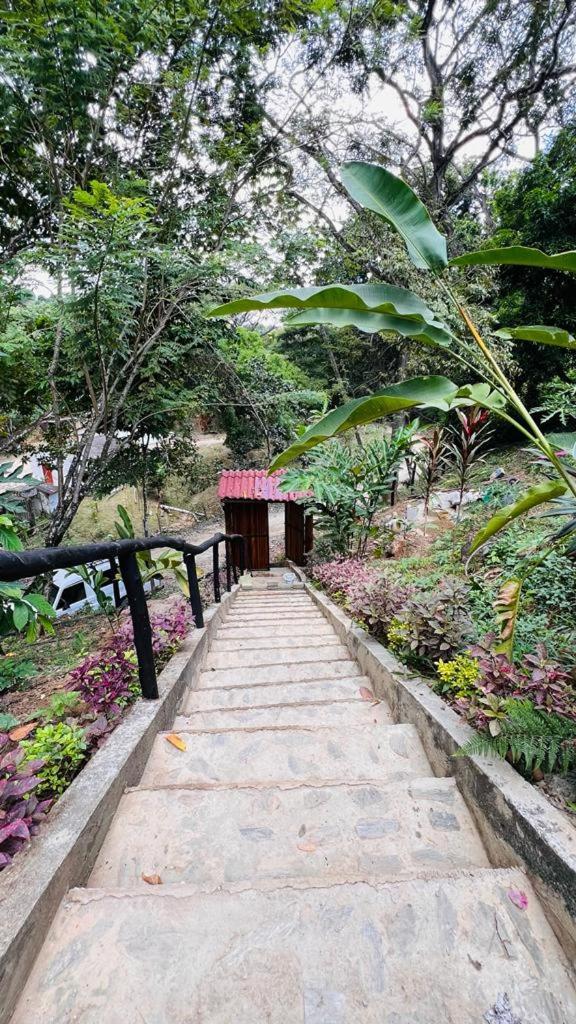 Minca Cabana La Roca Santa Marta (Magdalena) Exterior foto